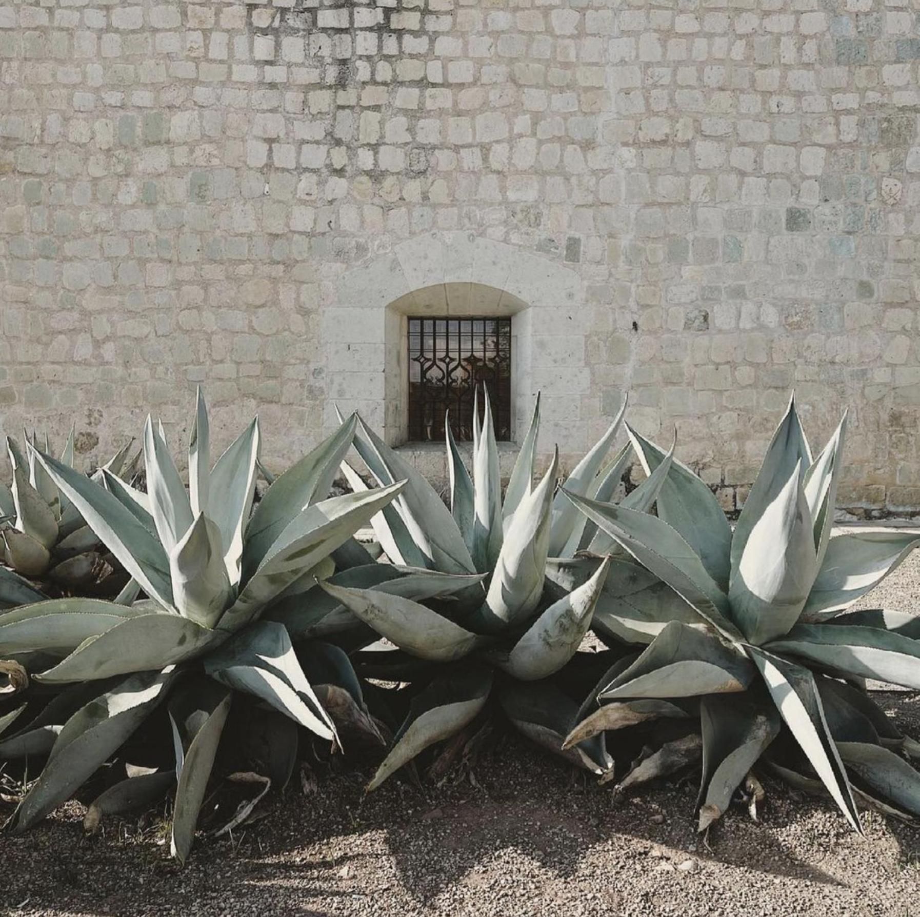 Casa Bonita Hotel & Cocina Oaxaca Kültér fotó